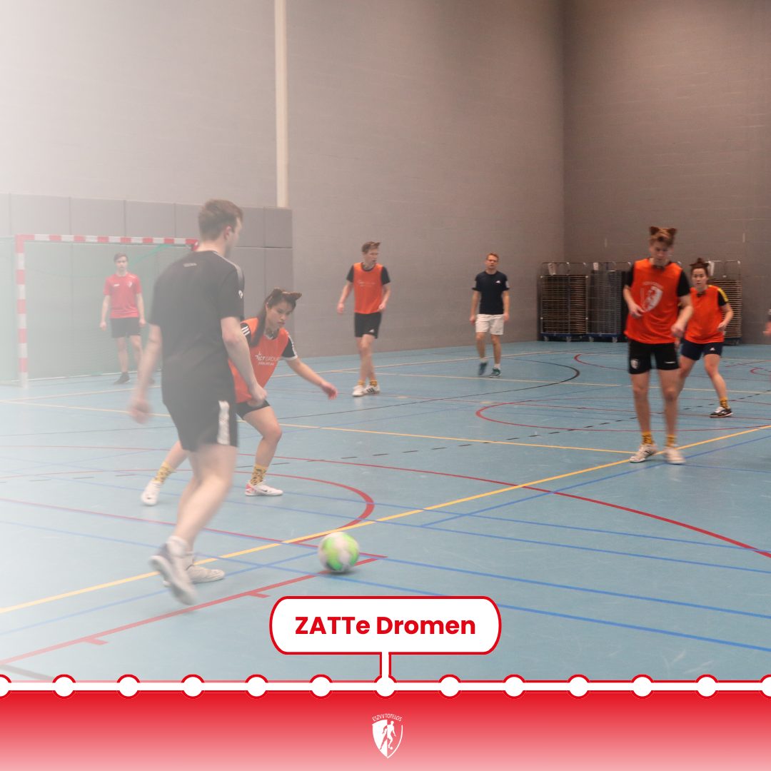 ZATTe Dromen